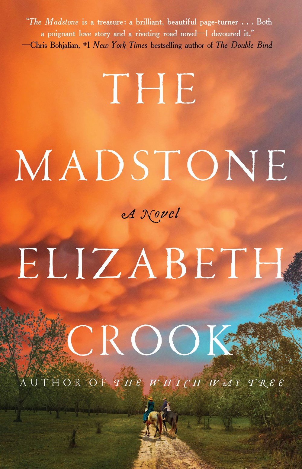 The Madstoneby Elizabeth Crook