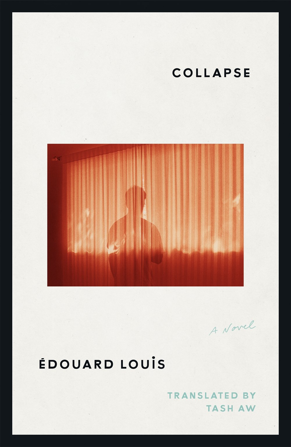 Collapse by Édouard Louis
