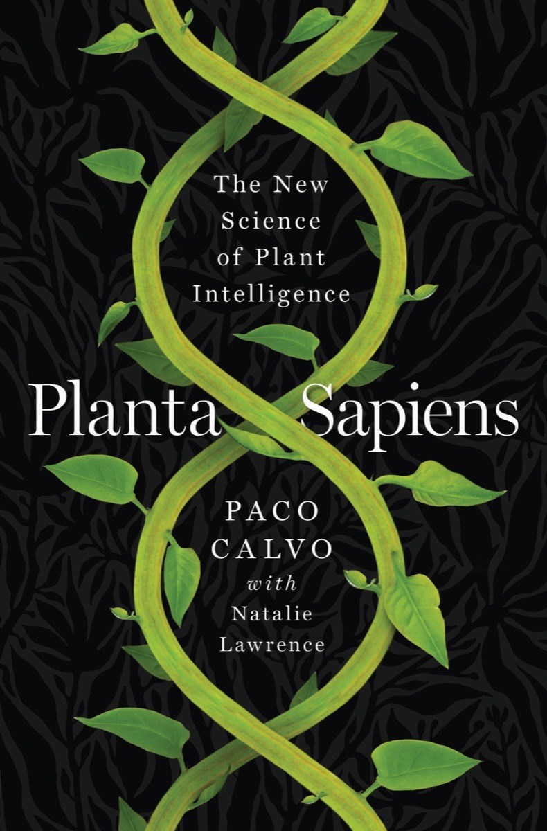 Planta Sapiens by Paco Calvo