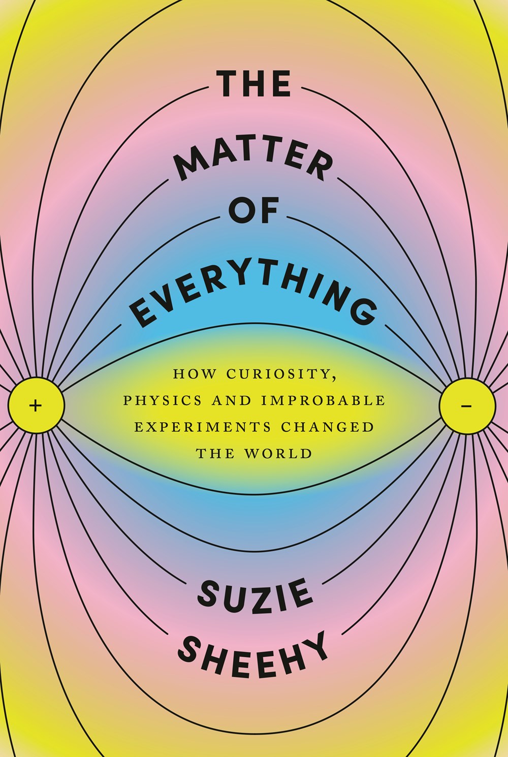 The Matter of Everything by Suzie Sheehy