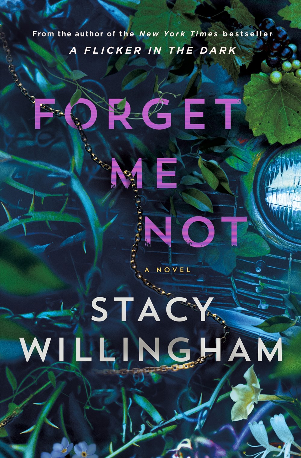 Forget Me Not by Stacy Willingham
