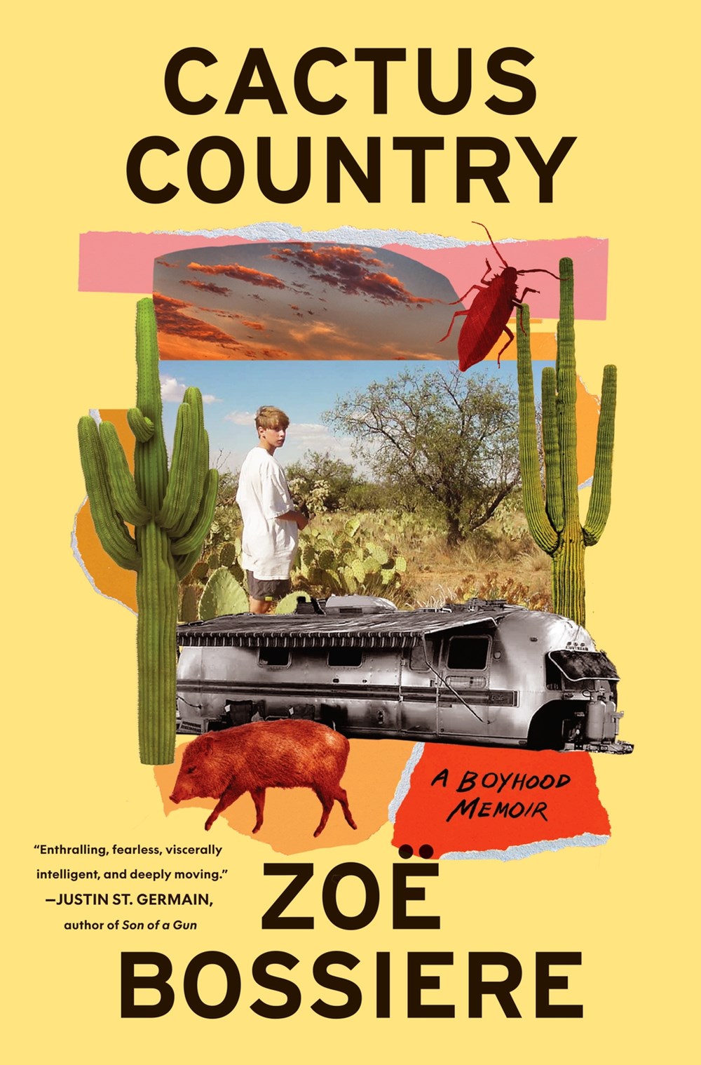 Cactus Country by Zoë Bossiere