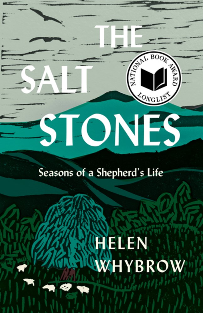 The Salt Stones by Helen Whybrow