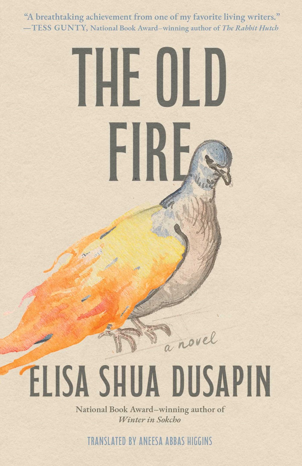 The Old Fire by Elisa Shua Dusapin