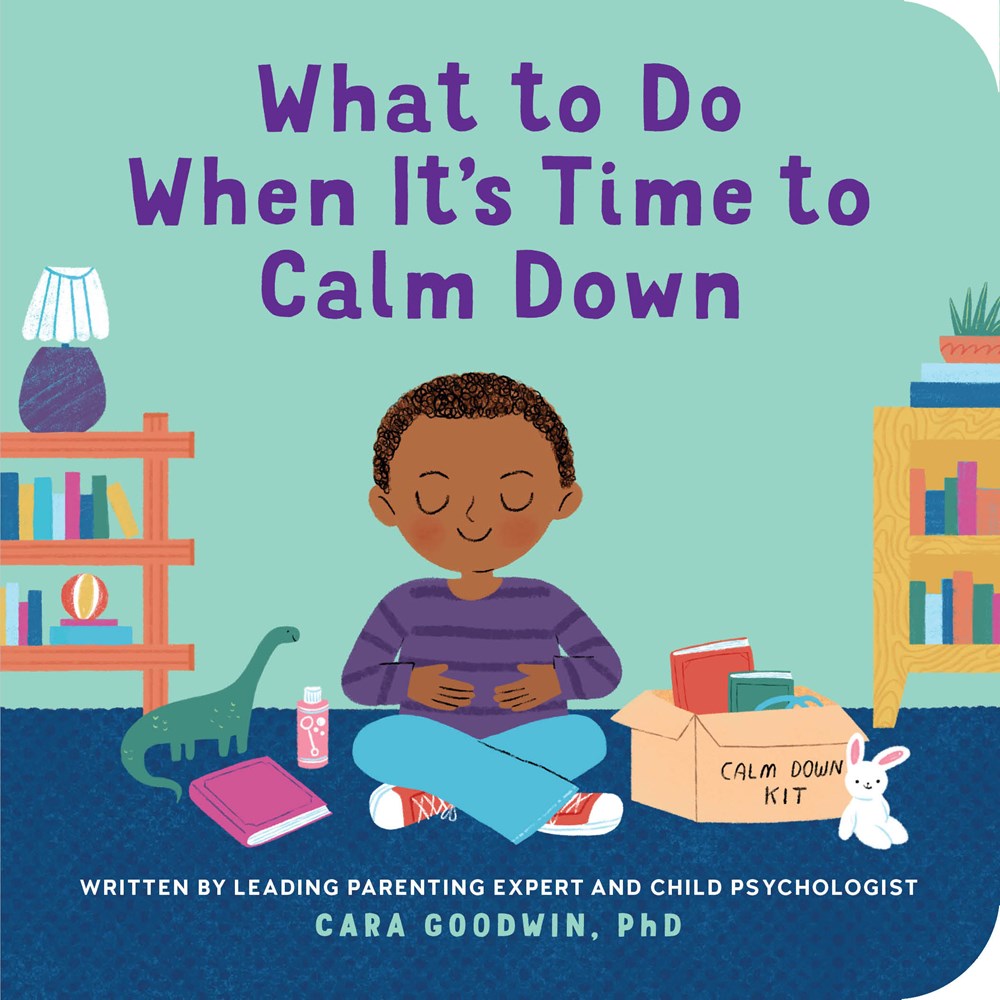 What to Do When It's Time to Calm Down by Cara Goodwin