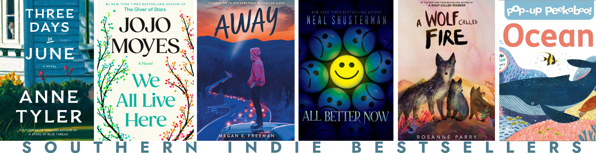 southern bestseller list